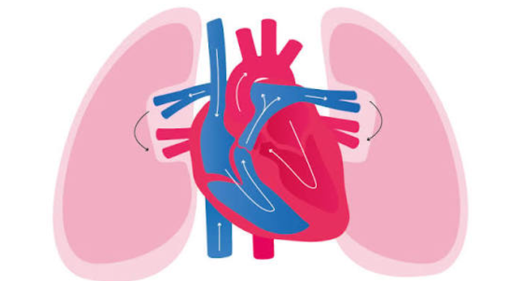 From Ignored Heart Signals To Early Action: Can Technology Close The Care Gap?